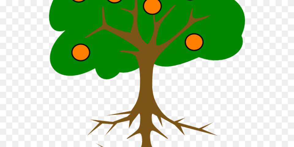 Tree Drawing With Fruits Clipart Download Name Of Tree Part, Plant, Root, Leaf, Animal Png