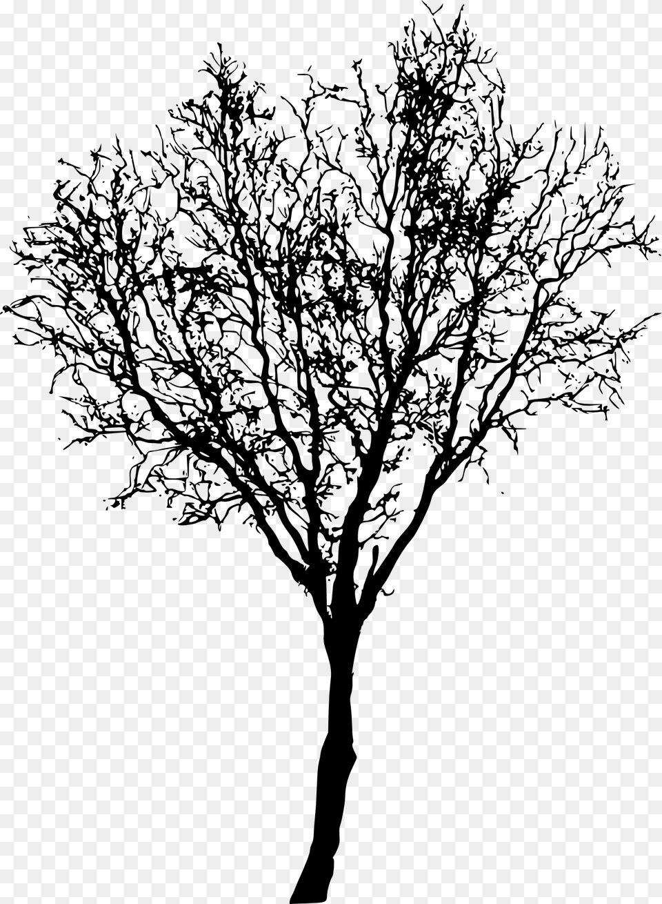 Tree Dry, Plant, Silhouette, Art, Drawing Free Png Download