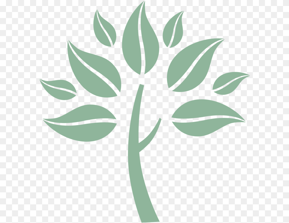 Tree E Waste Scraps, Plant, Leaf, Herbs, Herbal Free Transparent Png