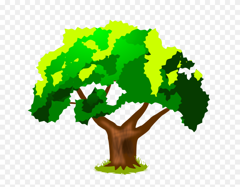 Tree Elementary School Drawing Oak, Green, Plant, Potted Plant, Vegetation Free Png