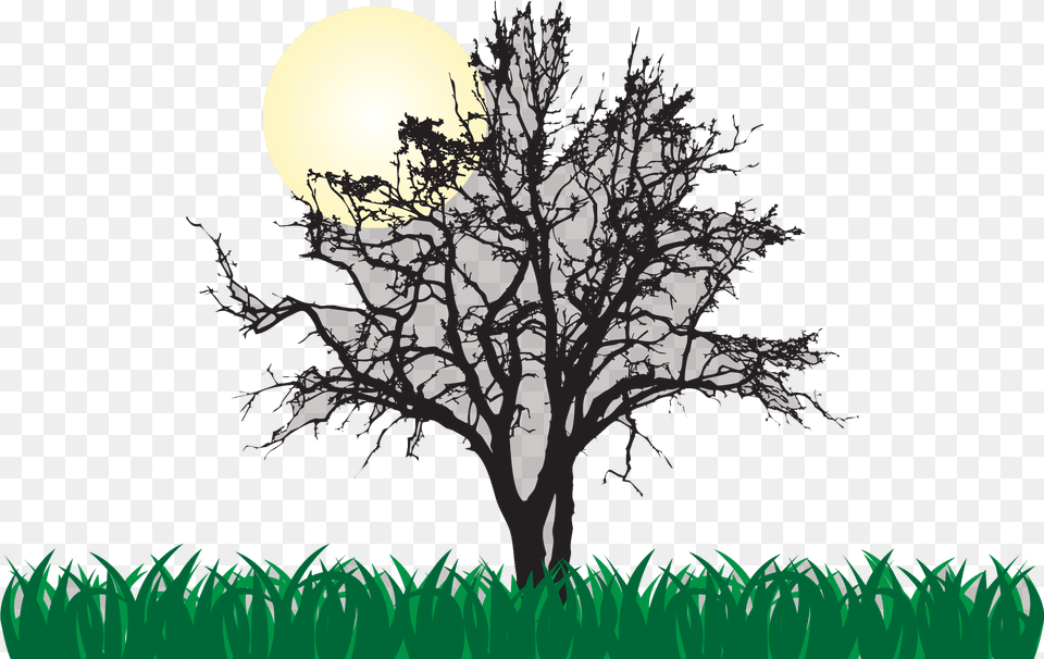 Tree Euclidean Vector Illustration Cool, Astronomy, Moon, Nature, Night Free Png