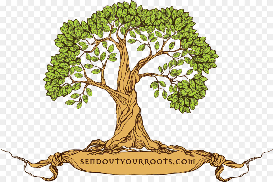 Tree Family Reunion Logo, Plant, Potted Plant, Vegetation, Art Png Image