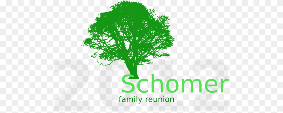 Tree Family Reunion Schomer Clip Art, Green, Plant, Number, Text Free Transparent Png