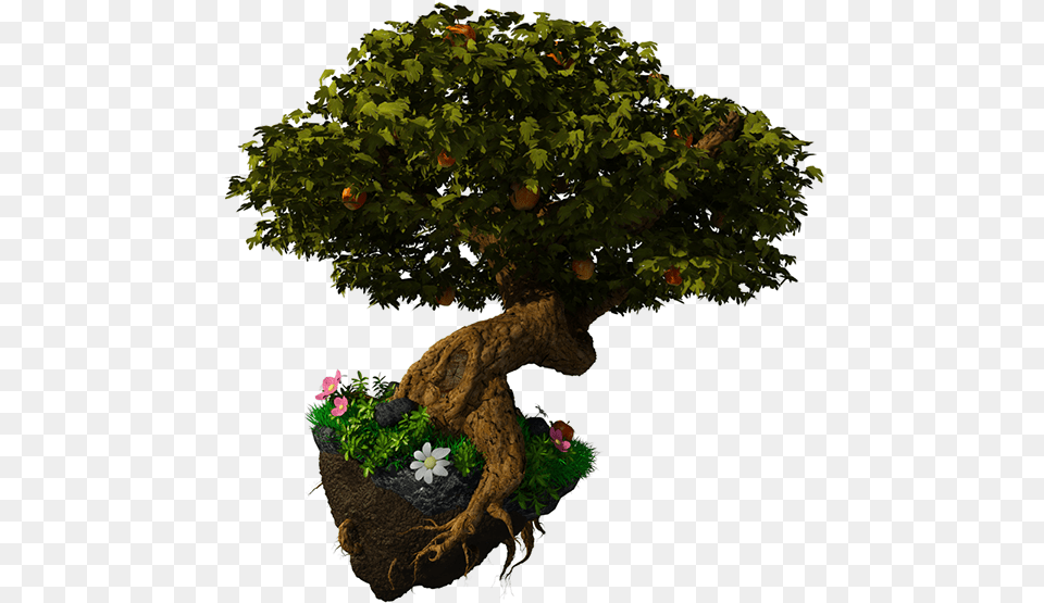 Tree Fantasy 1 Image Floating Island Real, Plant, Potted Plant, Bonsai, Flower Free Png Download