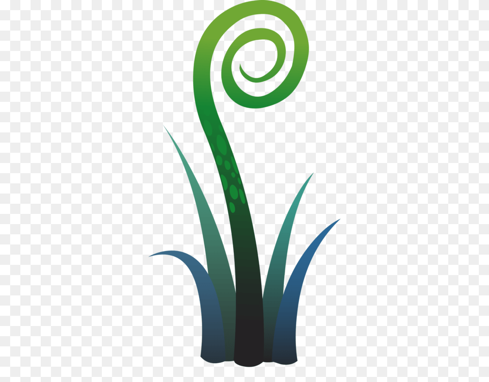 Tree Ferns Leptosporangiate Ferns Vascular Plant Frond, Spiral, Vegetable, Coil, Food Free Transparent Png