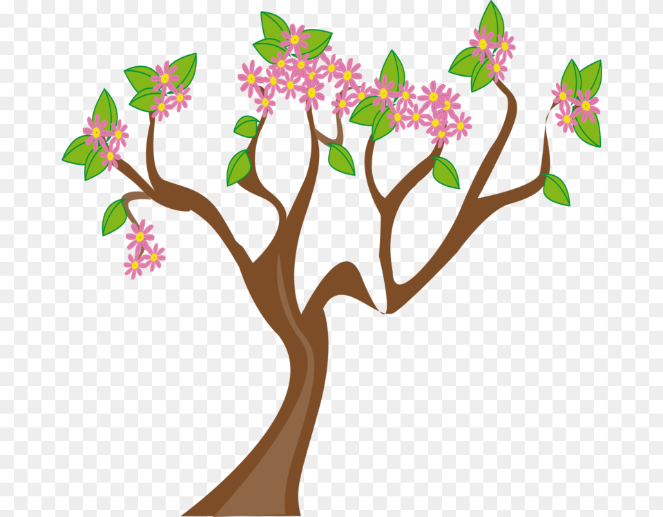 Tree Flowering Plant Blossom Shrub, Flower, Person, Art Free Png Download