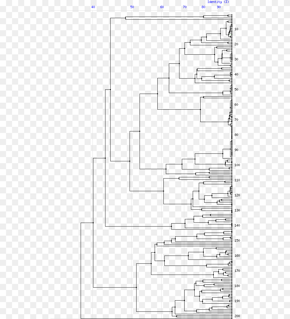 Tree For Family C51 Diagram, Home Decor Png