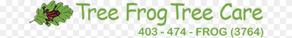 Tree Frog, Green, Plant, Vegetation, Text Free Png