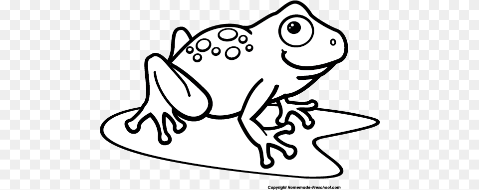 Tree Frog Black And White Transparent Frog Clipart Black And White, Amphibian, Animal, Wildlife, Fish Png