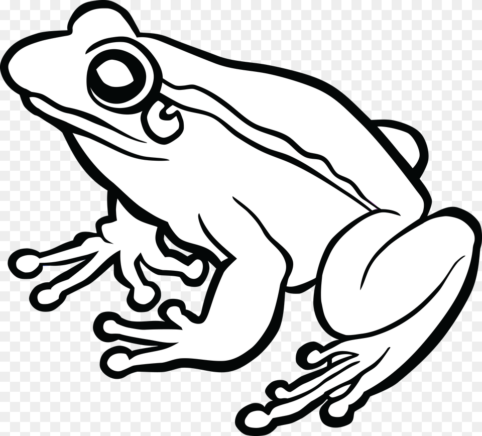 Tree Frog Black And White Transparent Tree Frog Black, Amphibian, Animal, Wildlife, Baby Free Png