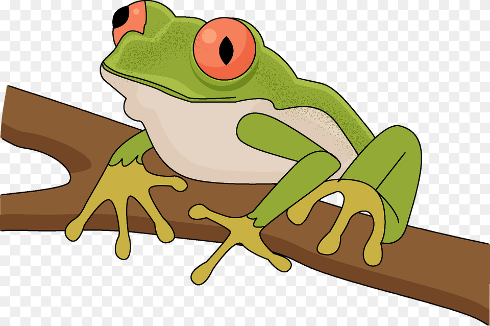 Tree Frog Clipart, Amphibian, Animal, Wildlife, Tree Frog Free Transparent Png