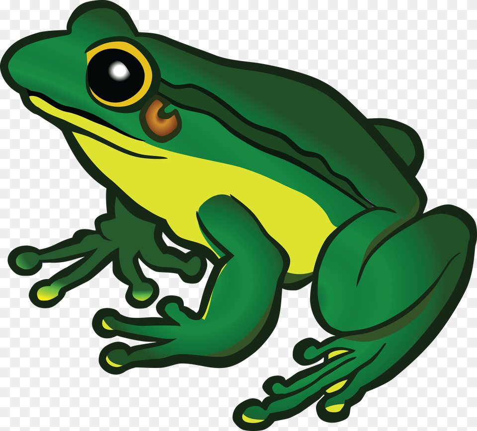 Tree Frog Clipart Clip Art, Amphibian, Animal, Wildlife, Tree Frog Png