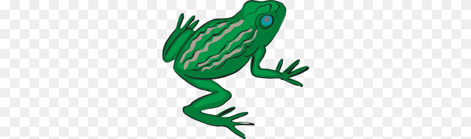 Tree Frog Clipart Frog Leg, Amphibian, Animal, Wildlife, Person Free Png