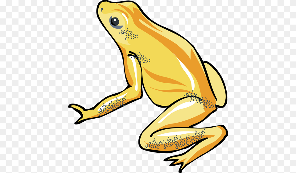 Tree Frog Cliparts, Amphibian, Animal, Wildlife, Fish Free Png