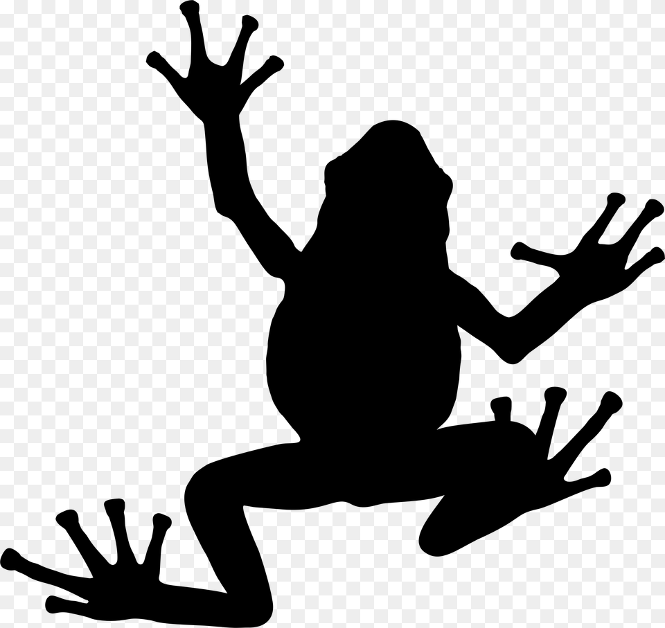 Tree Frog Silhouette Toad Frogs Silhouette, Gray Free Png