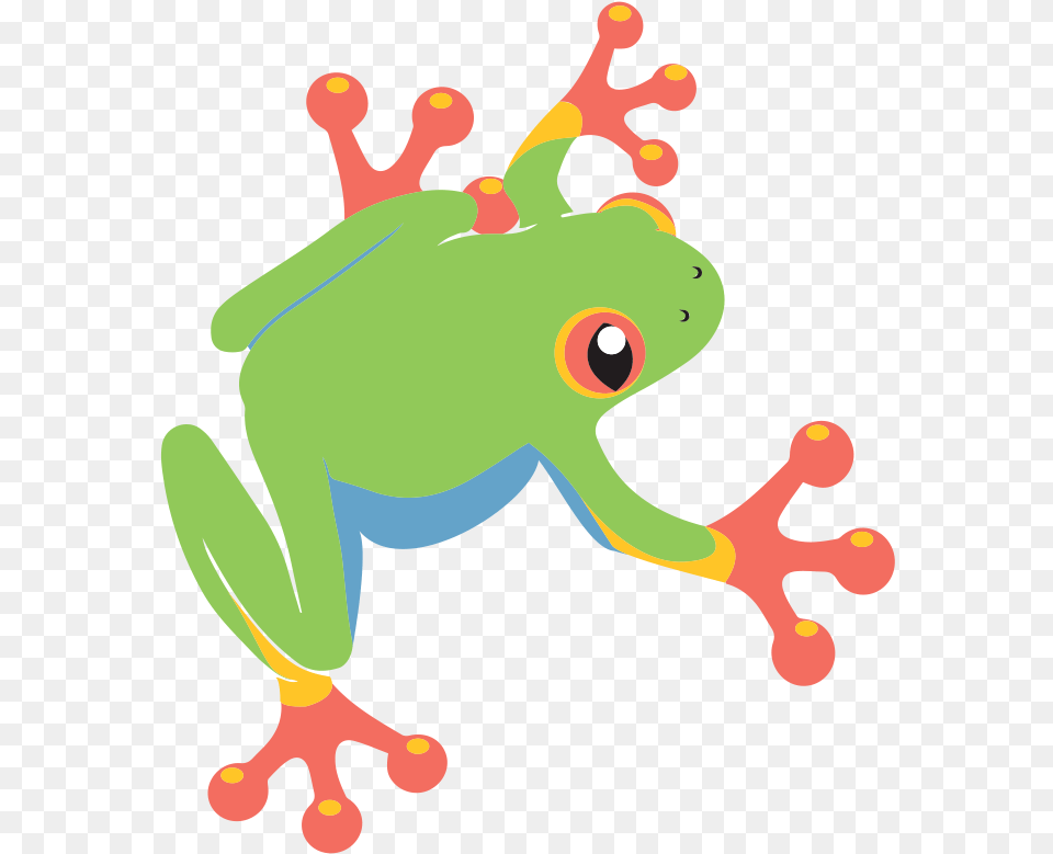 Tree Frog The 1 Organic Instagram Growth Service Cartoon Clipart Tree Frog, Amphibian, Animal, Wildlife, Tree Frog Png Image