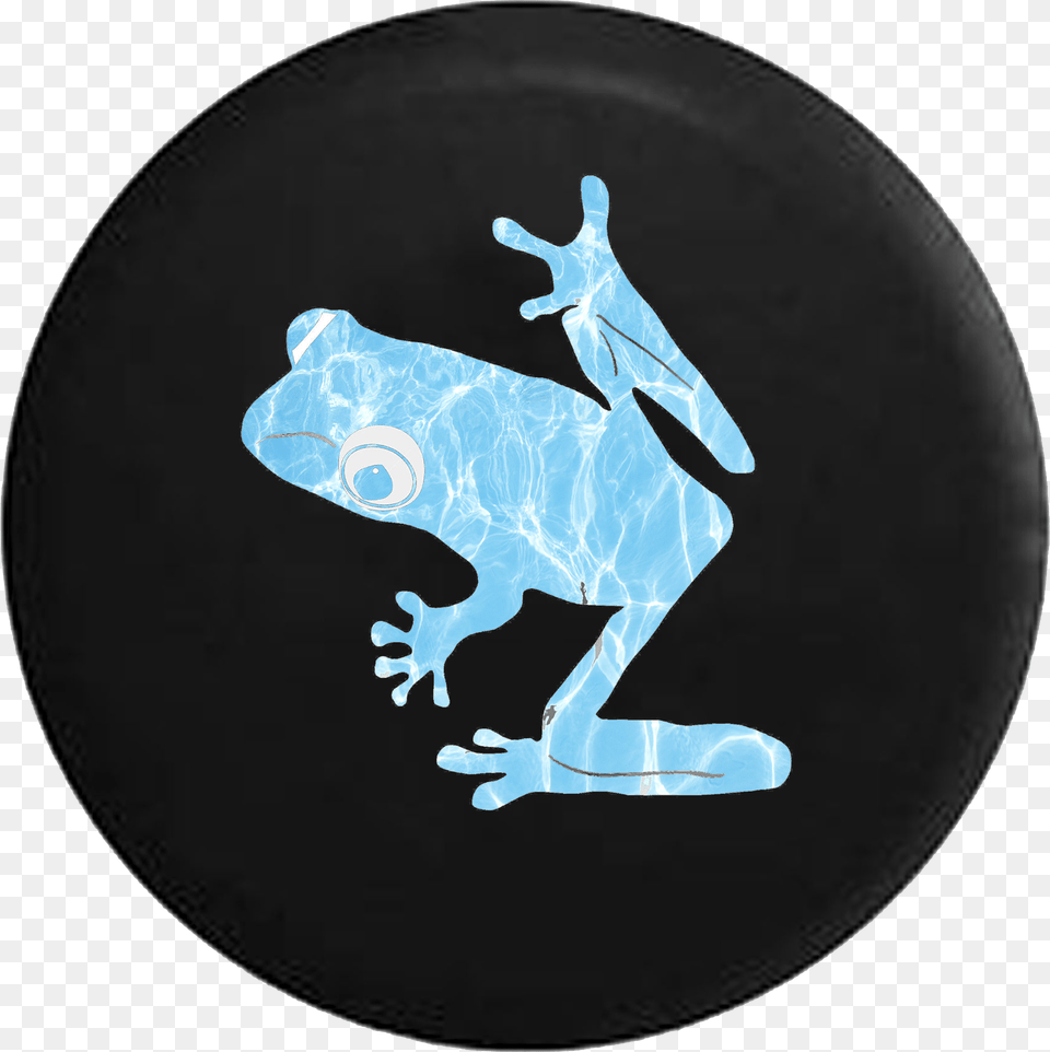 Tree Frog Water Reflection True Frog, Disk, Toy Free Transparent Png