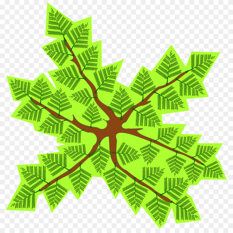 Tree From Above Clipart, Green, Plant, Vegetation, Leaf Png Image