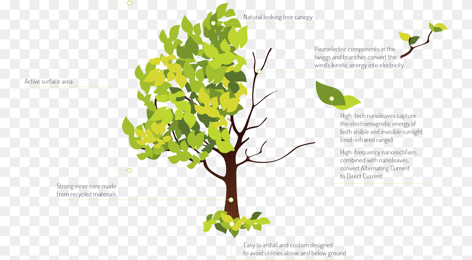 Tree From Above Energy Tree, Vegetation, Plant, Leaf, Outdoors Free Transparent Png