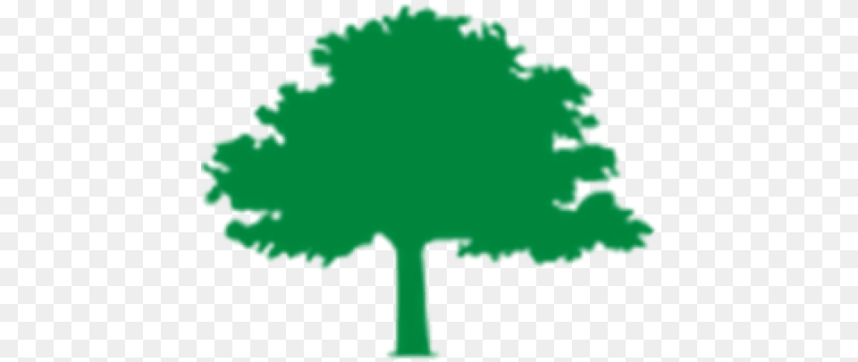 Tree Fund Organization Funding Urban Forestry Pruning Big Tree Inn Geneseo Ny Logo, Green, Oak, Plant, Sycamore Png
