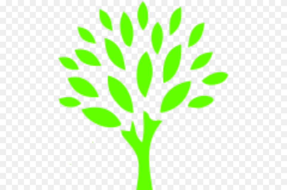 Tree Go Green Auto Spa, Leaf, Plant, Moss Free Png