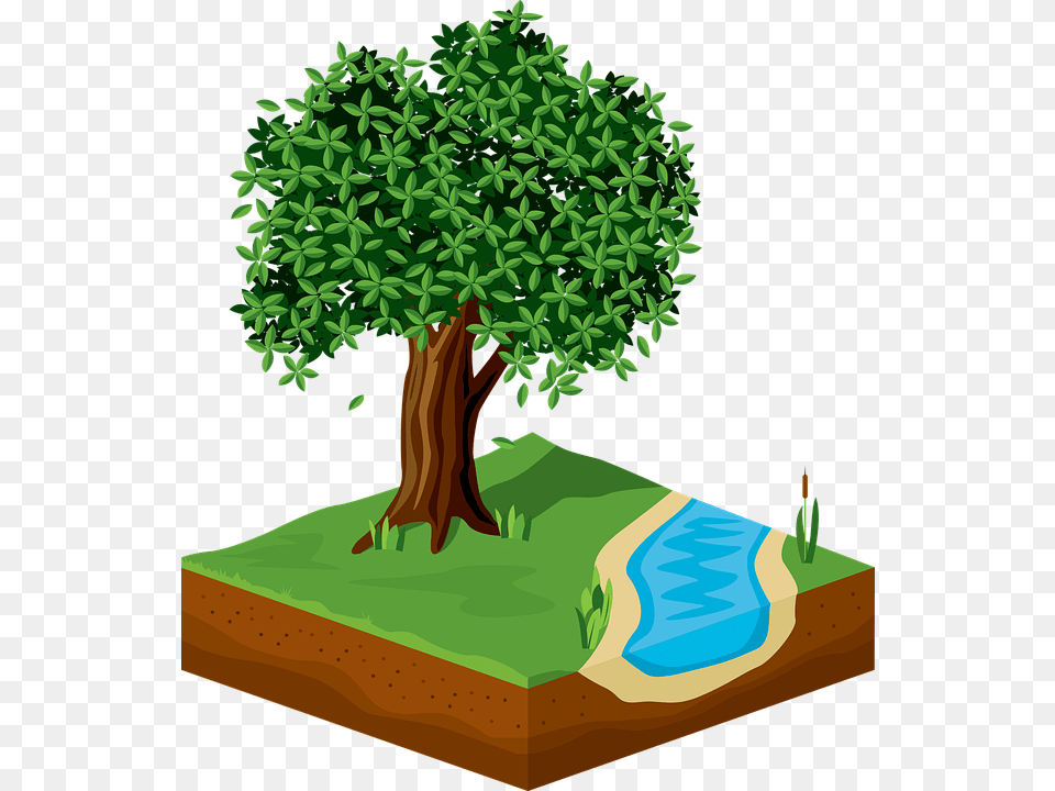 Tree Green Foliage Nature River 3d Ecology Tree, Vegetation, Potted Plant, Plant, Outdoors Png Image