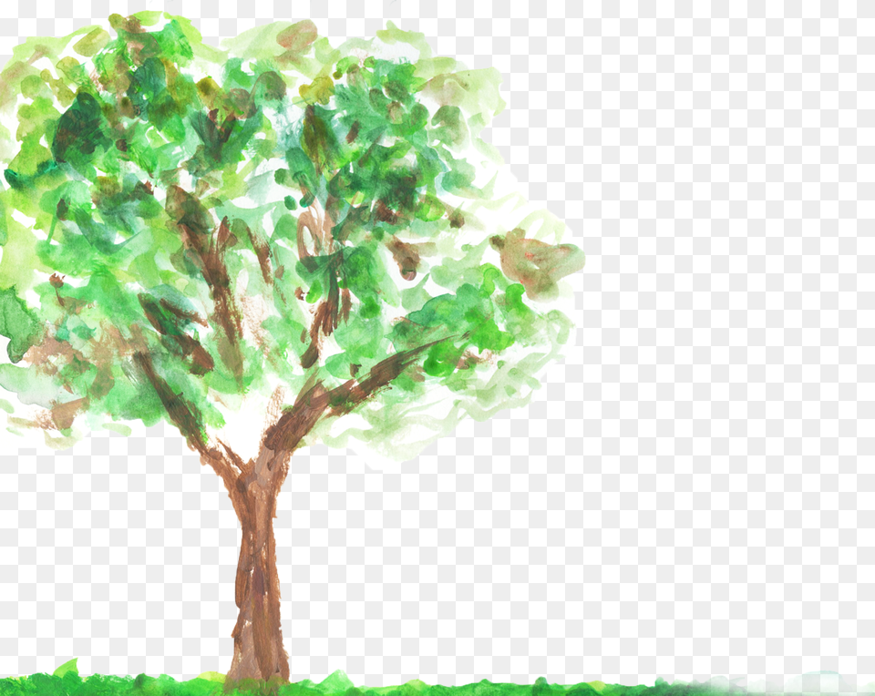 Tree Green Oak, Plant, Sycamore, Art, Painting Free Png Download