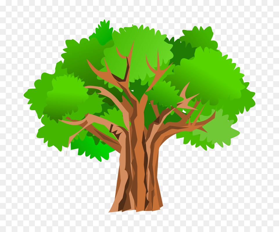 Tree House Clip Art, Plant, Tree Trunk, Oak, Sycamore Free Png Download