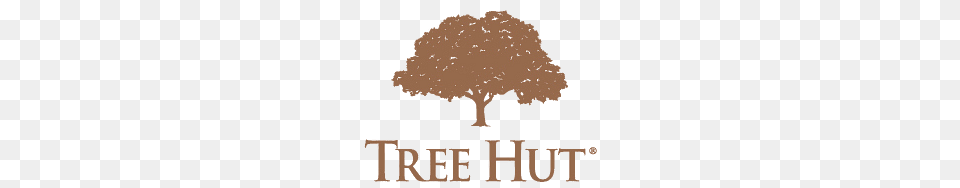 Tree Hut Logo, Plant, Oak, Sycamore, Vegetation Free Png