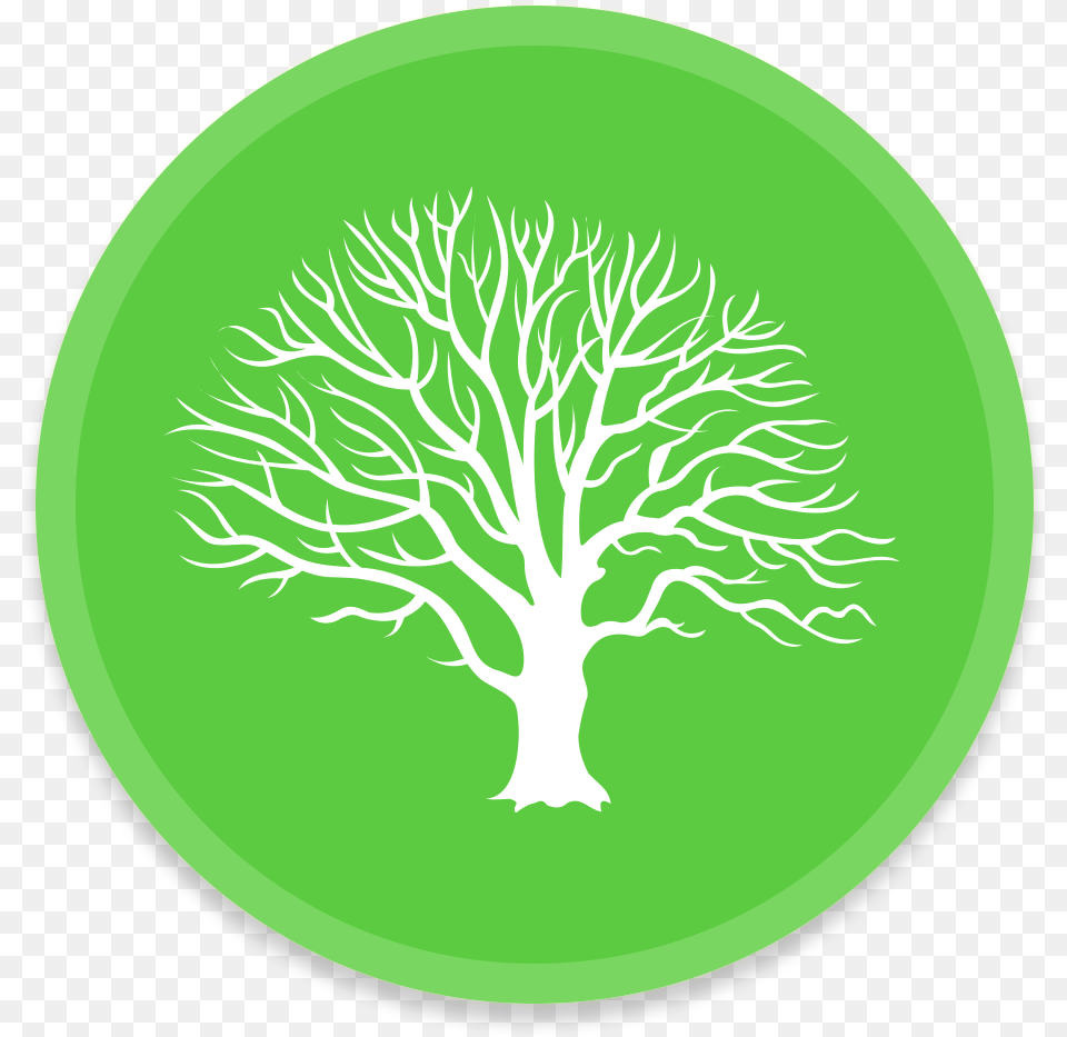 Tree Icon Free Icons Library, Plant, Sticker, Oak, Green Png Image