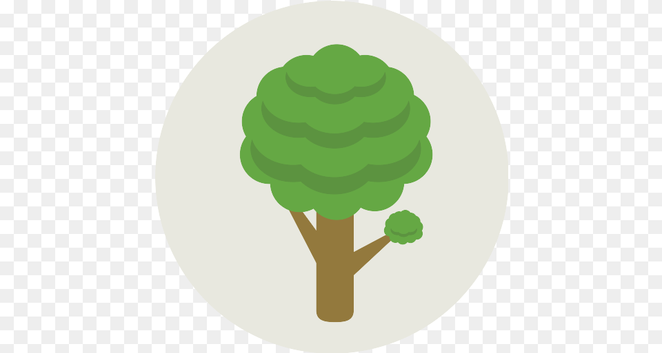 Tree Icon 78 Repo Icons Icon, Plant, Green, Broccoli, Food Free Png