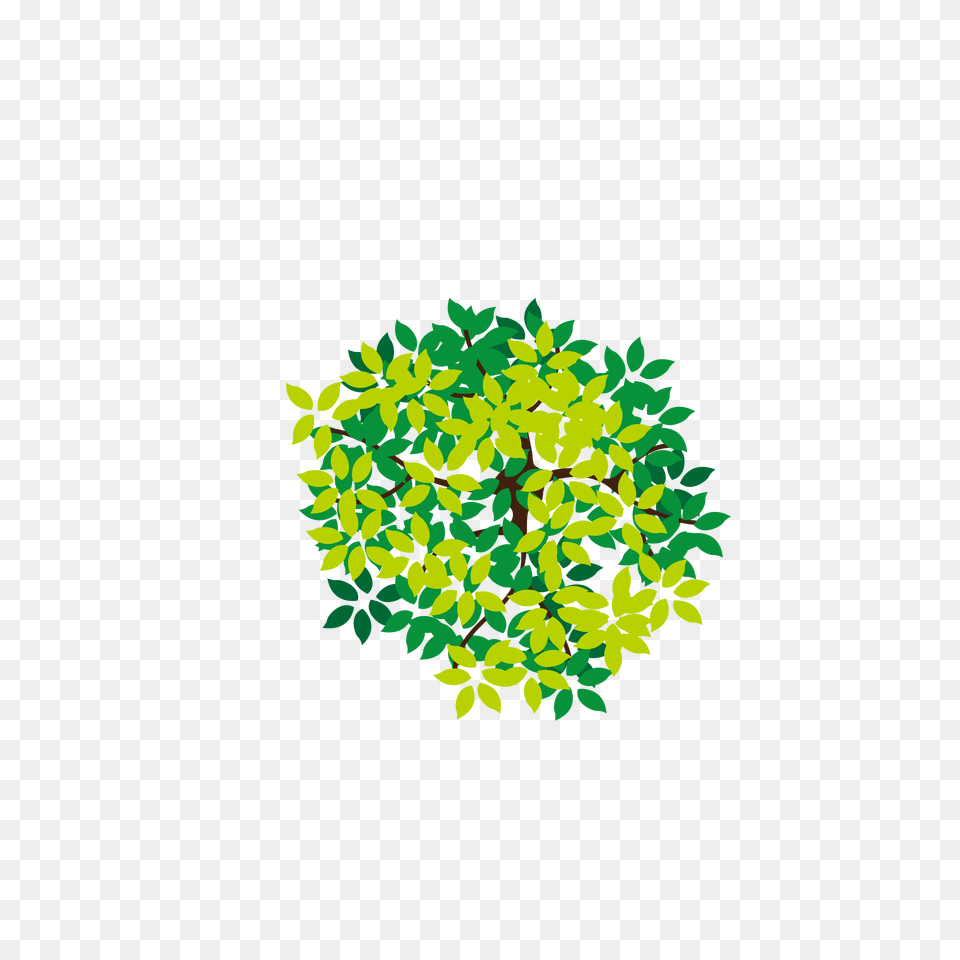 Tree Icon Download Clipart Tree Icon Top View, Green, Herbal, Herbs, Leaf Free Png