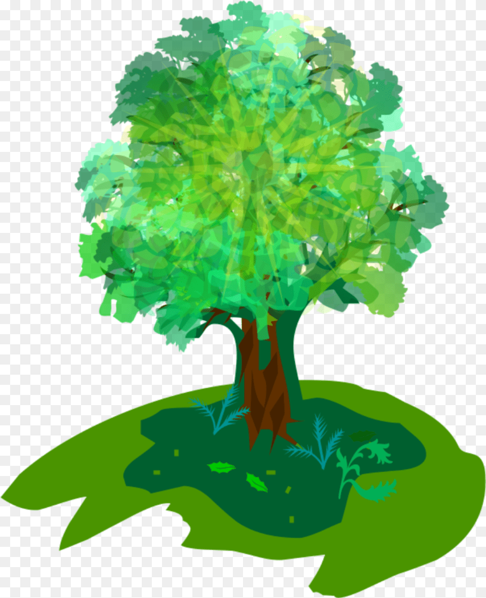 Tree Icon Logo Drawing Image Nature Club Logo, Green, Oak, Sycamore, Plant Free Png