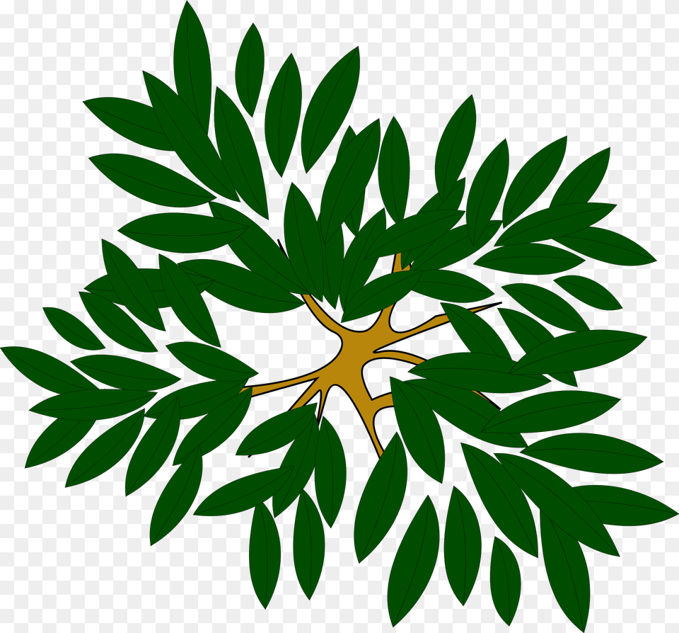 Tree Icon Tree Clump Clipart Icon Tree Icon Top Tree Top View Clipart, Green, Plant, Vegetation, Leaf Png Image