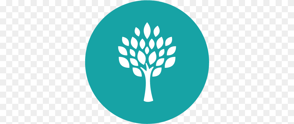 Tree Icon Woodlands Christian Centre Full Size Tree Circle Icon, Leaf, Outdoors, Plant, Nature Free Png Download
