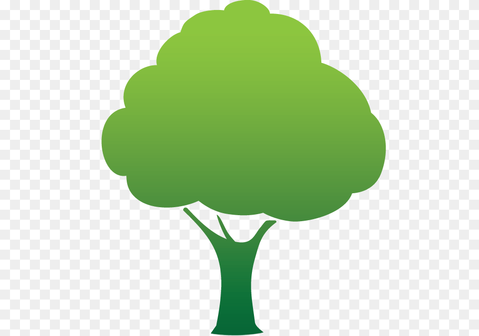 Tree Icons, Broccoli, Vegetable, Produce, Plant Png