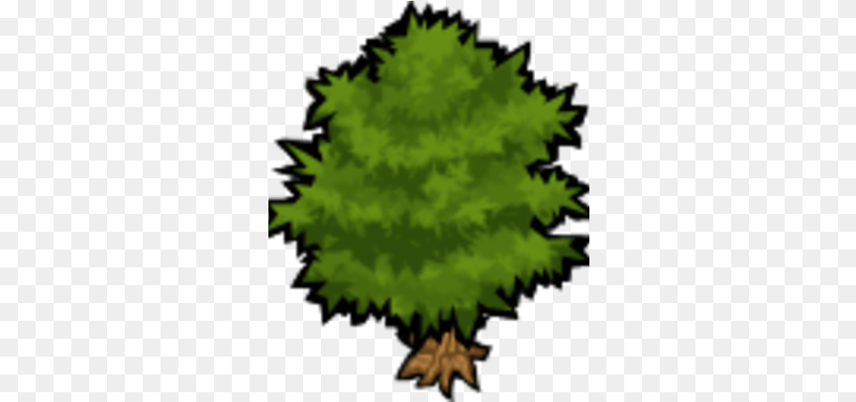 Tree Illustration, Green, Leaf, Plant, Vegetation Free Transparent Png