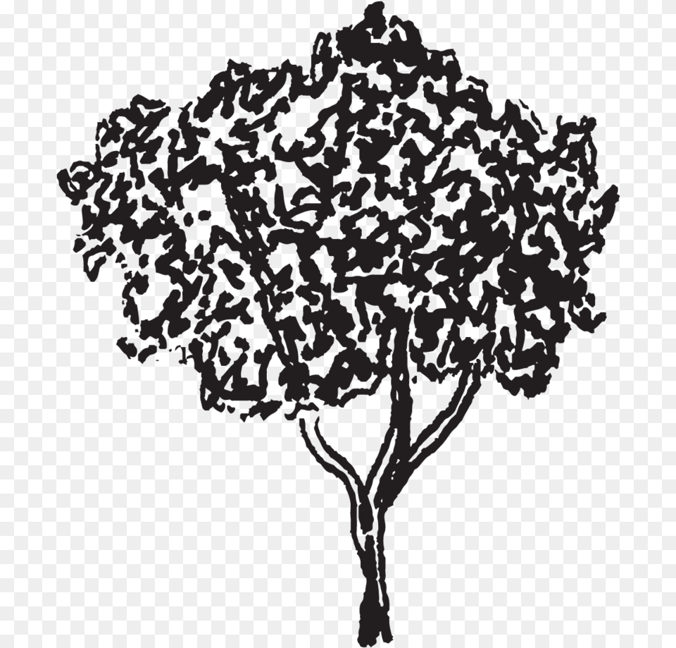 Tree Illustration, Art, Drawing, Plant, Person Png