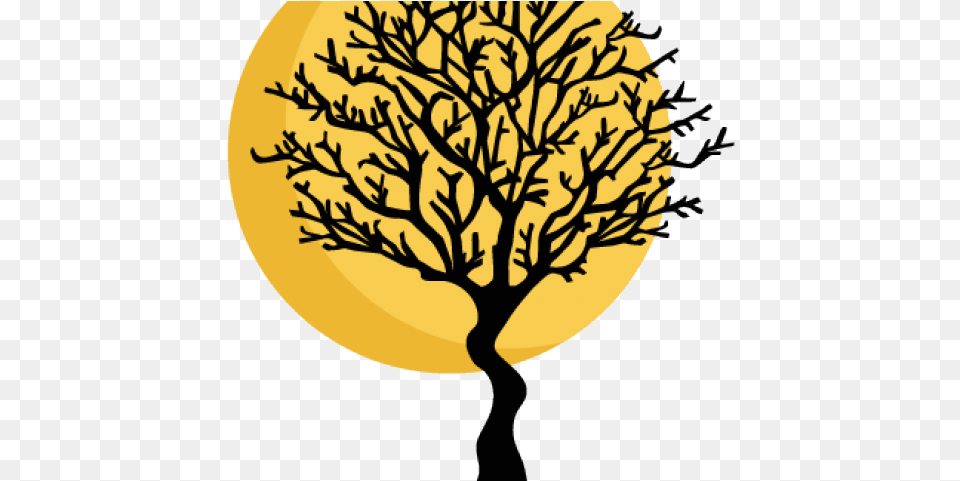 Tree Illustration, Plant, Oak, Person, Sycamore Png Image