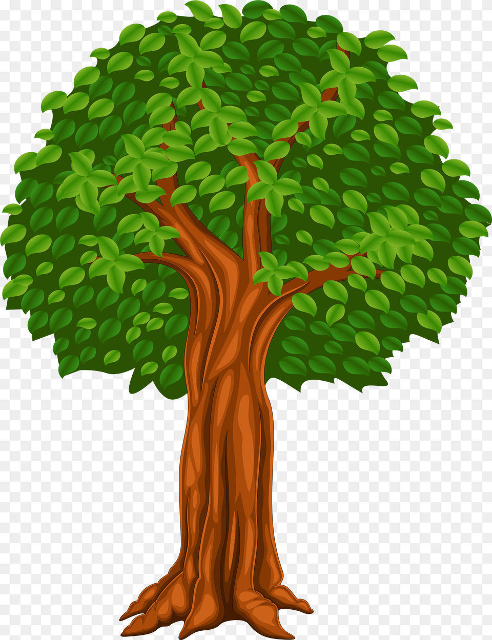 Tree Illustration Image Transparent Tree Cartoon Free Png Download
