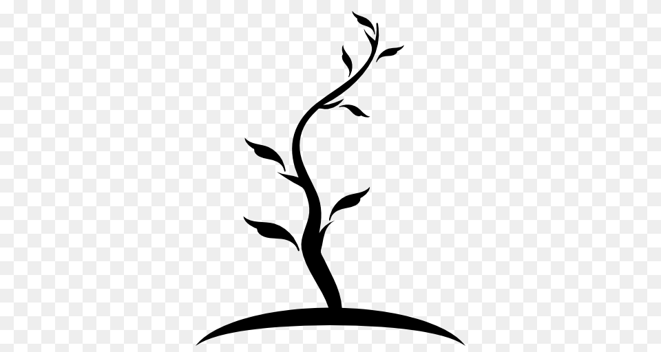 Tree Image Royalty Stock Images For Your Design, Stencil, Silhouette, Art, Graphics Free Png Download