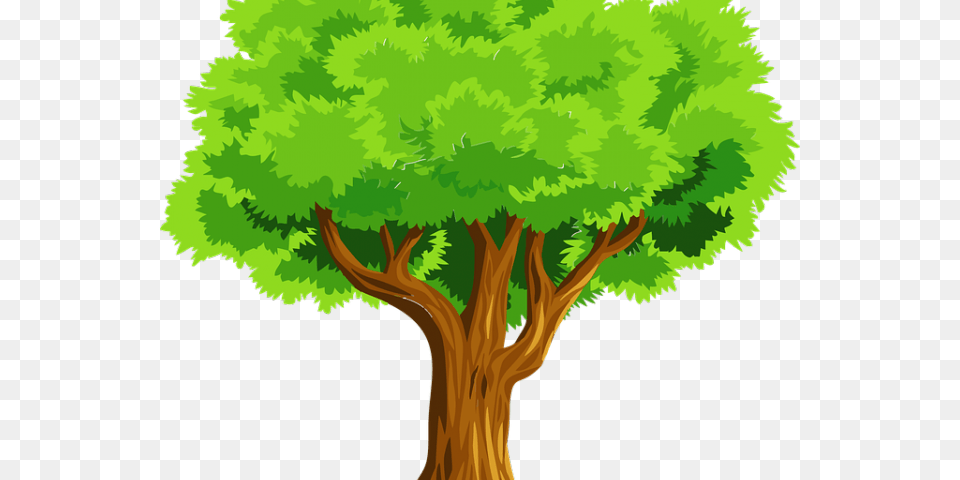 Tree Images Clip Art Of A Tree, Vegetation, Plant, Woodland, Outdoors Free Png Download