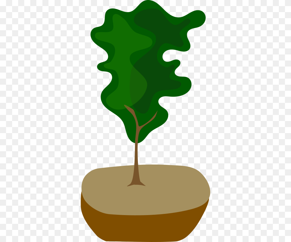 Tree In Pot, Plant, Potted Plant Free Transparent Png