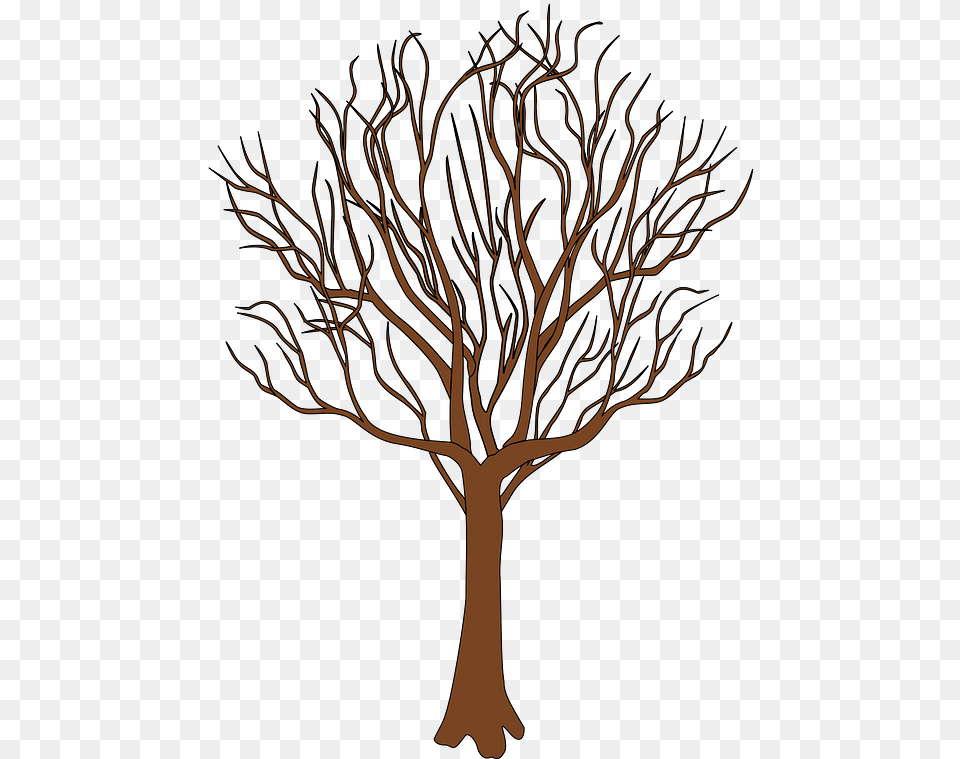 Tree In Spring Clipart Bare Tree Cartoon, Plant, Art, Tree Trunk, Drawing Png Image