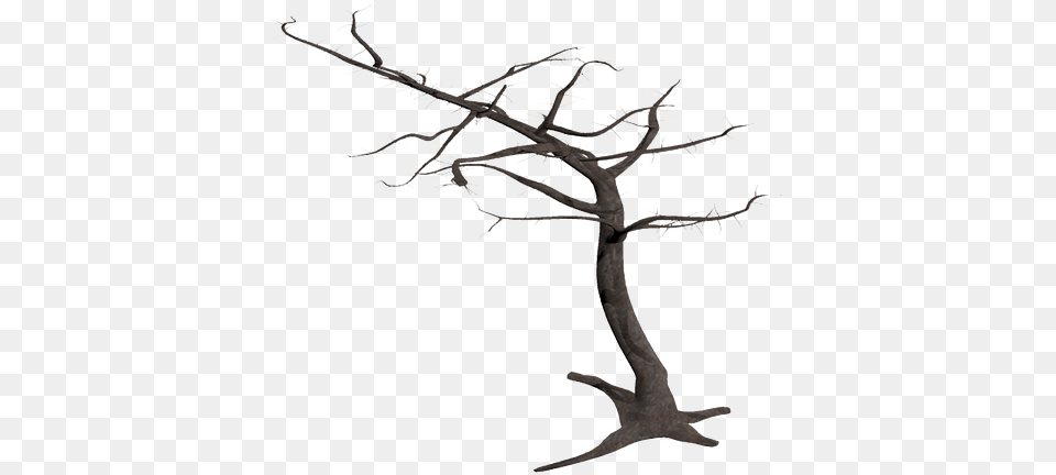 Tree Isolated Dead Plant Weathered Old Morsch Dead Tree Branches, Nature, Outdoors, Animal, Dinosaur Free Transparent Png