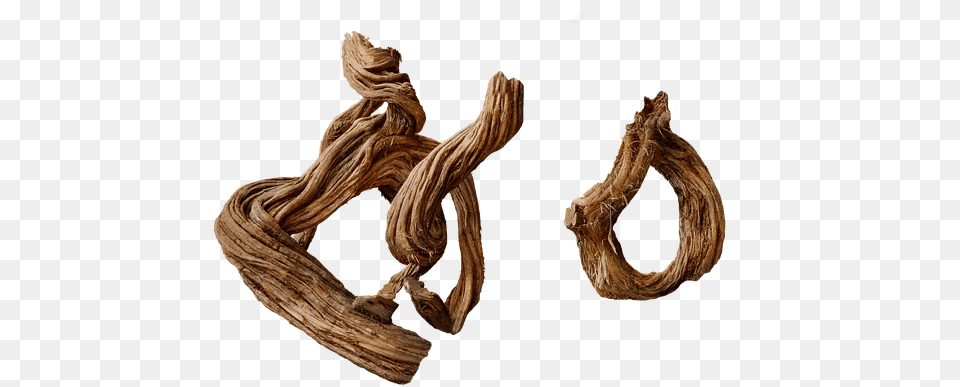Tree Japanese Isolated Tree Stump Bark Devoured Driftwood, Wood, Adult, Female, Person Png