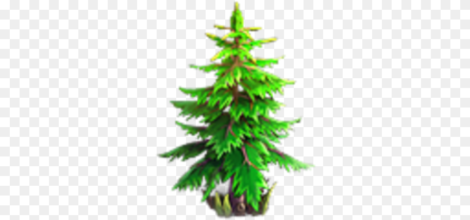 Tree Knights And Brides Wiki Fandom Boreal Conifer, Fir, Green, Pine, Plant Png
