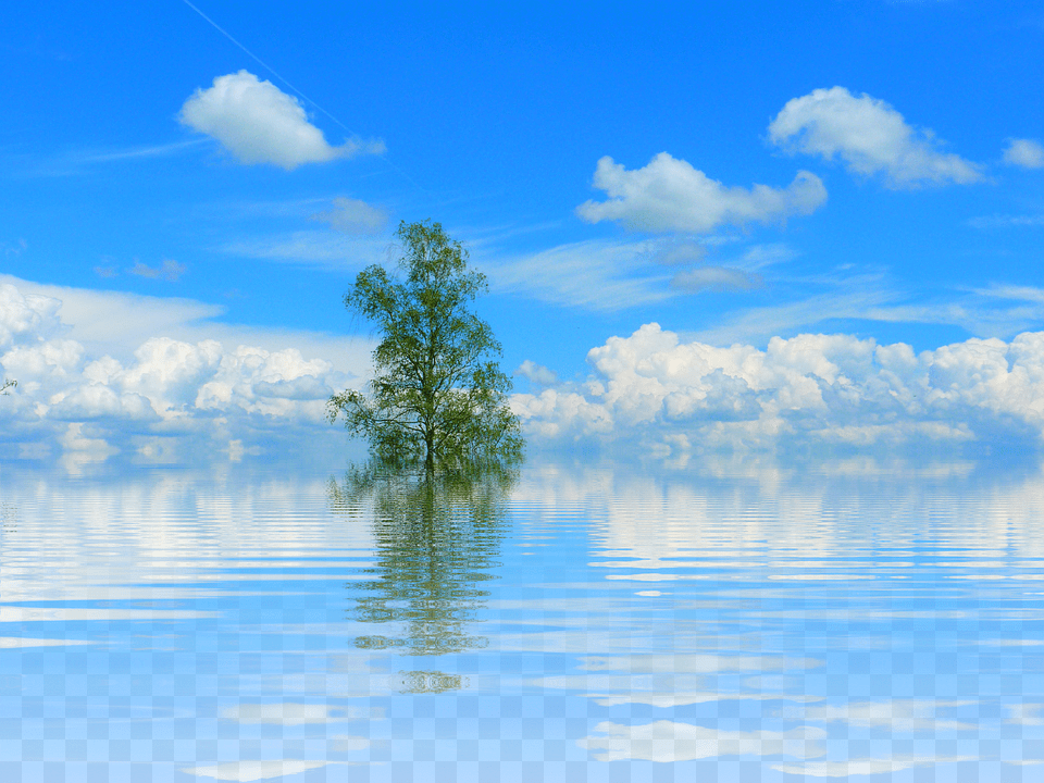 Tree Lake Mirroring Isolated Lone Tree Atmosphere Lake, Azure Sky, Sky, Scenery, Outdoors Free Png