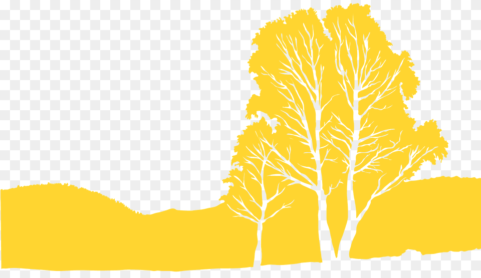 Tree Landscape Silhouette, Plant, Sycamore, Oak, Nature Free Png Download