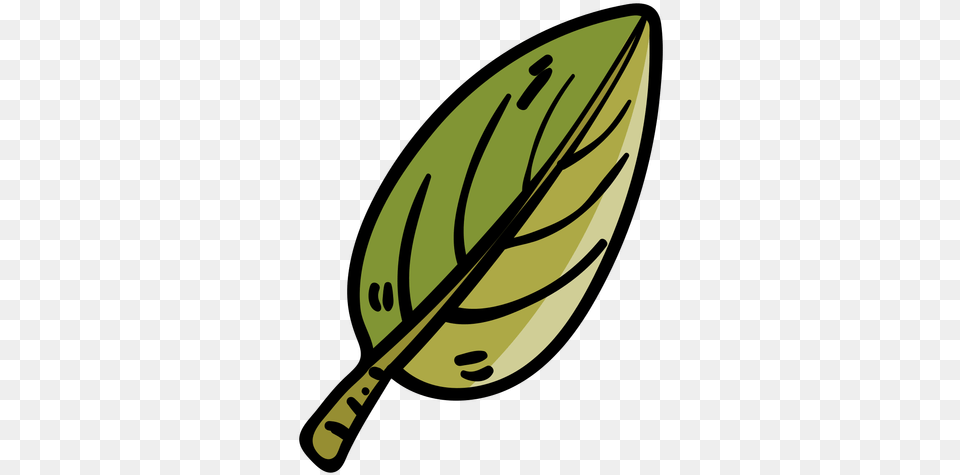 Tree Leaf Cartoon Icon Folha De Arvore Desenho, Plant Png